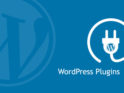 Get High Value and Affordability with The Accessibe WordPress Plugin