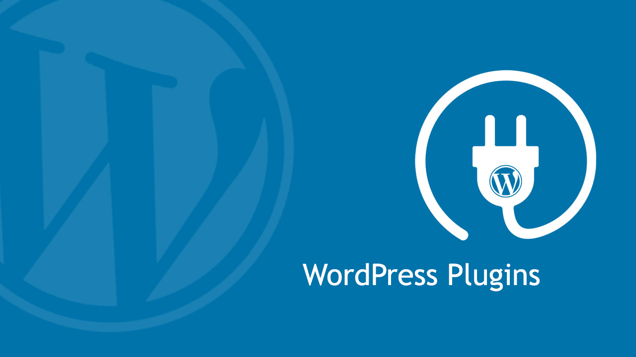 Get High Value and Affordability with The Accessibe WordPress Plugin