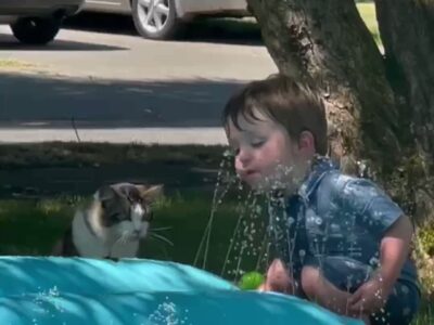 Boy And Kitten Drink Water From Sprinkler, Adorable Video Hit On Internet