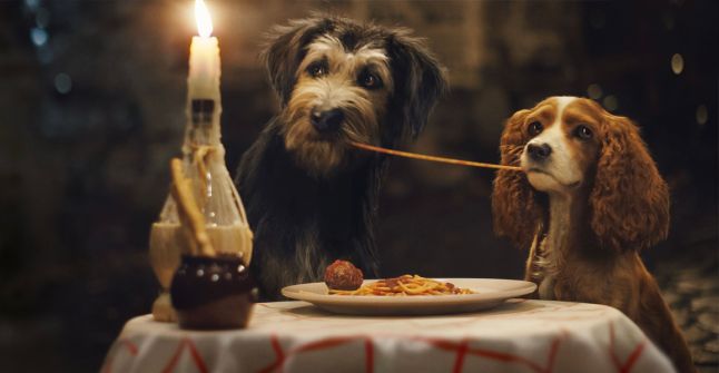 lady and the tramp 2019 full movie 123movies